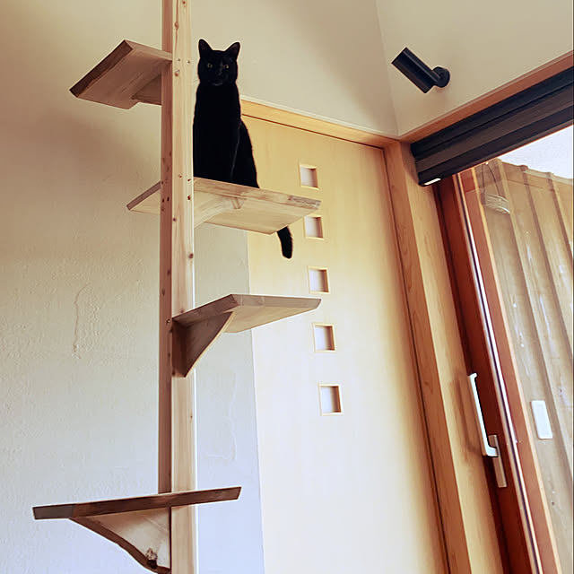 hiroさんの実例写真