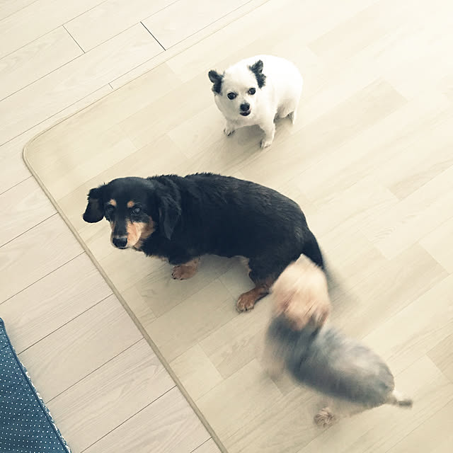 ohanaさんの実例写真