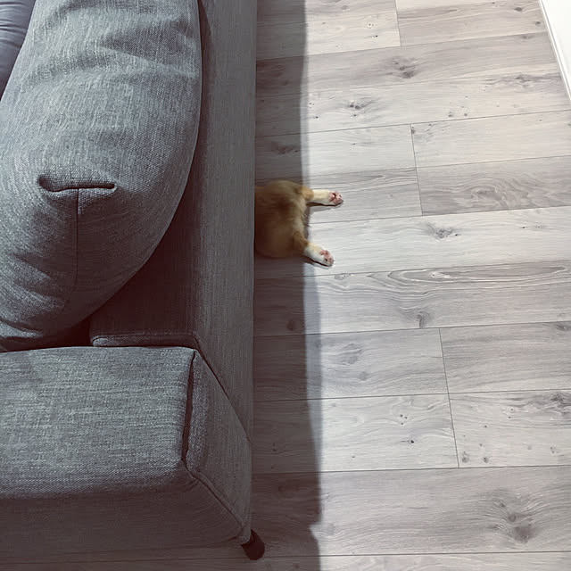 3ayuさんの実例写真