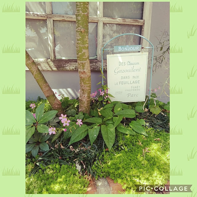 haxtusi301さんの実例写真