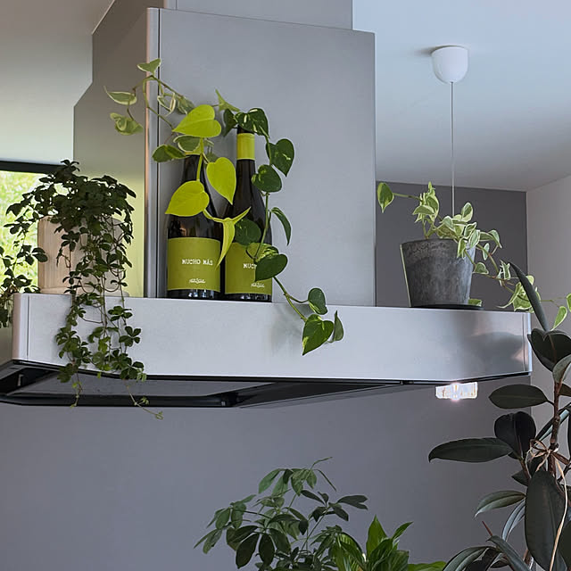 greenleaves36さんの実例写真