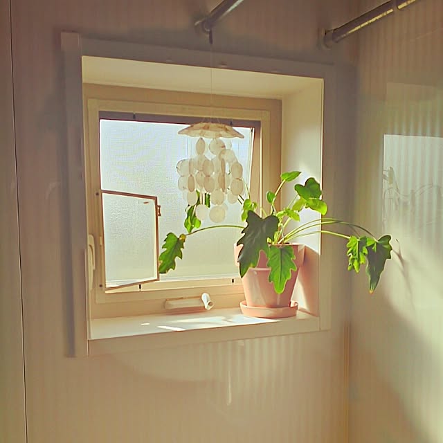 cloverさんの実例写真
