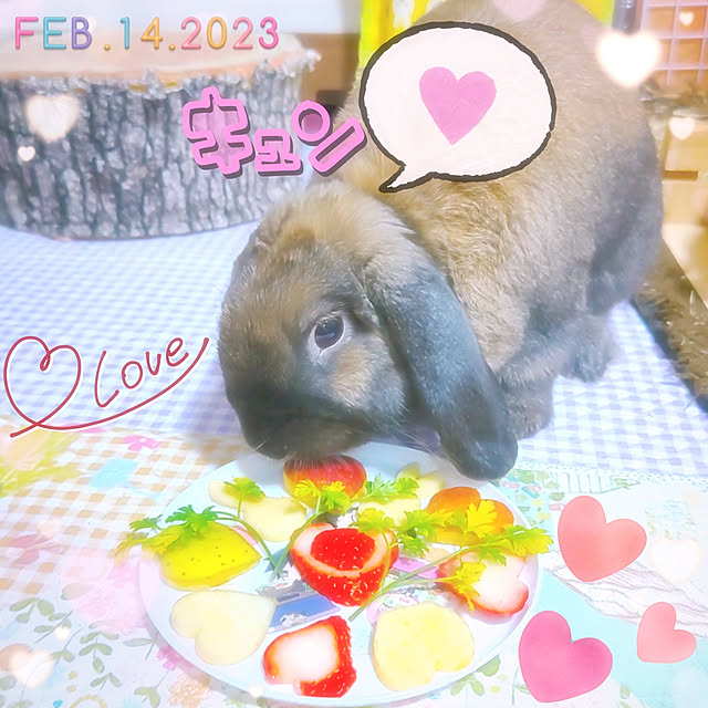 mariaさんの実例写真
