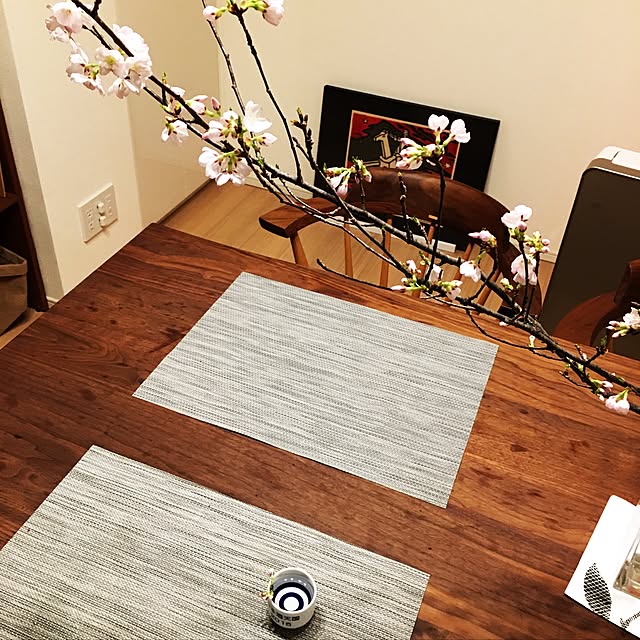 Flexible385さんの実例写真