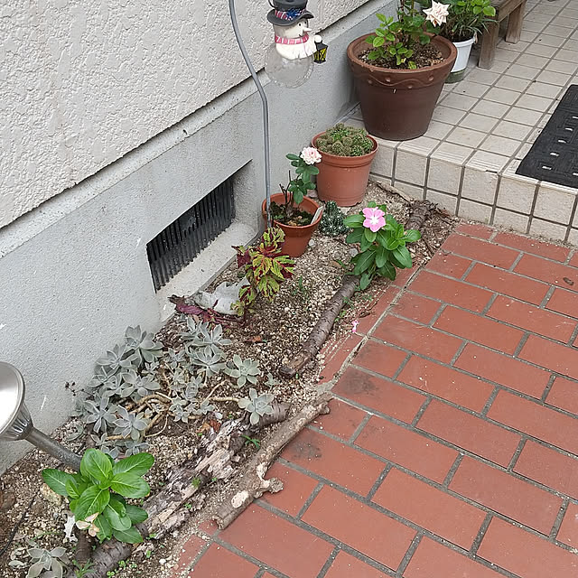実例写真