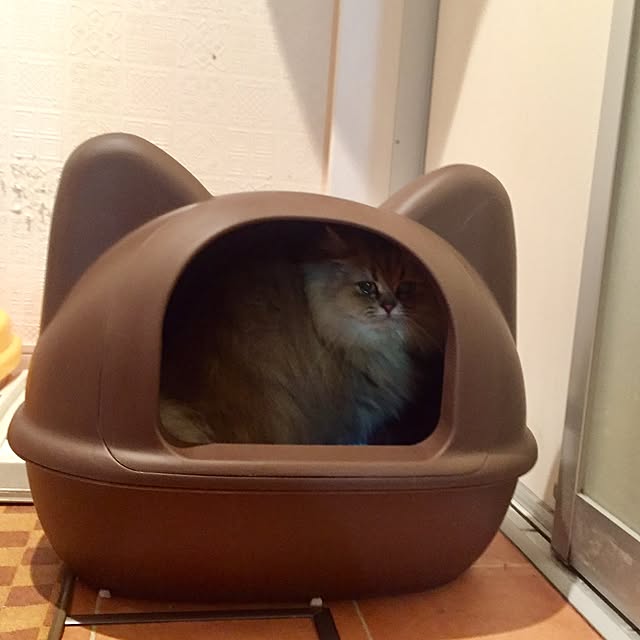 butachanさんの実例写真