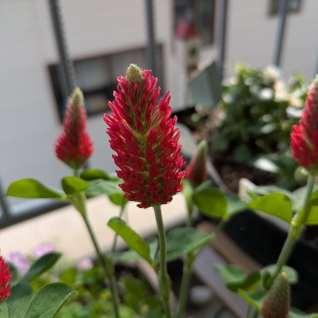 toramamaさんの部屋