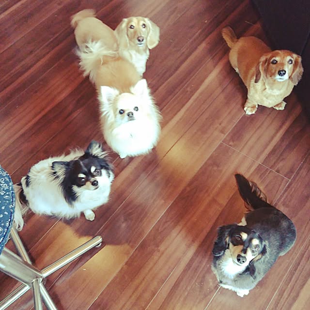 cocosorasakuさんの実例写真
