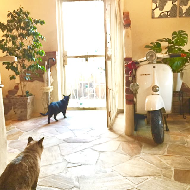rosemaryさんの実例写真