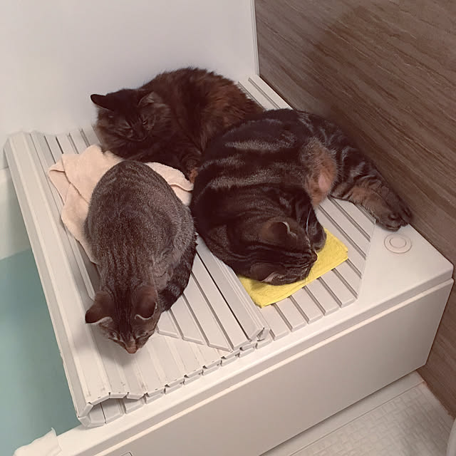 mikomaruさんの実例写真