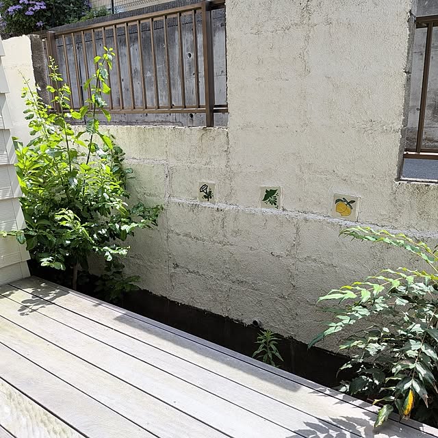 Maroさんの部屋