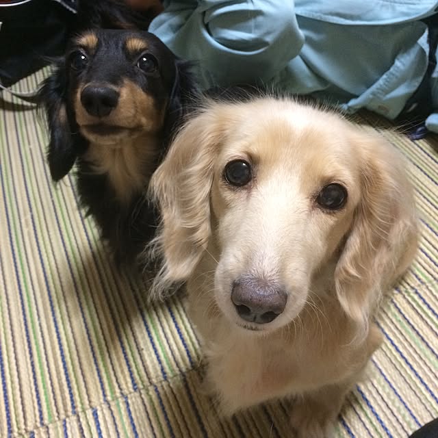 tomo1.1.1さんの実例写真