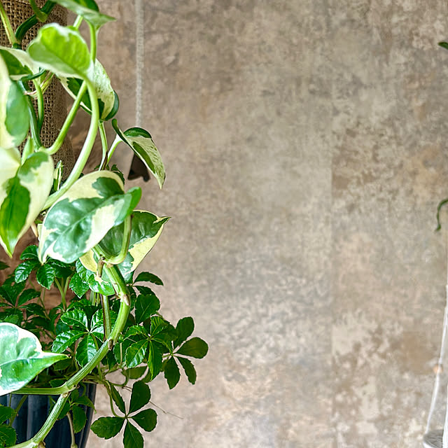 REI015mさんの部屋