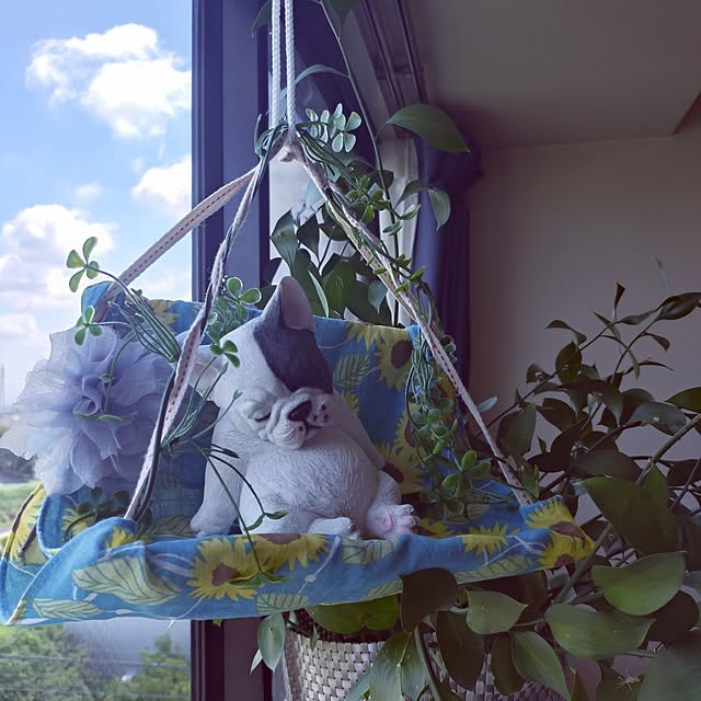 NOAHさんの実例写真