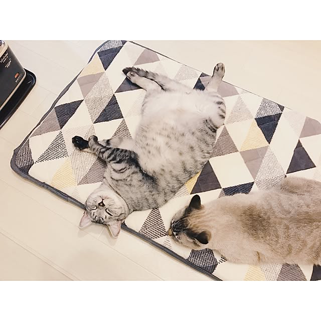 ineko_kさんの実例写真