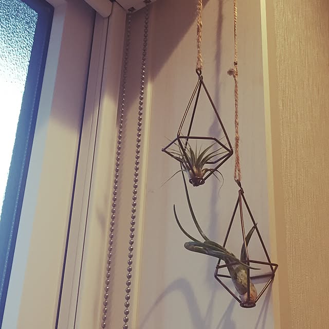 aojumamaさんの実例写真