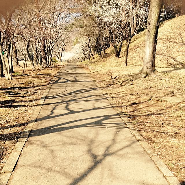omoideinmy45さんの実例写真
