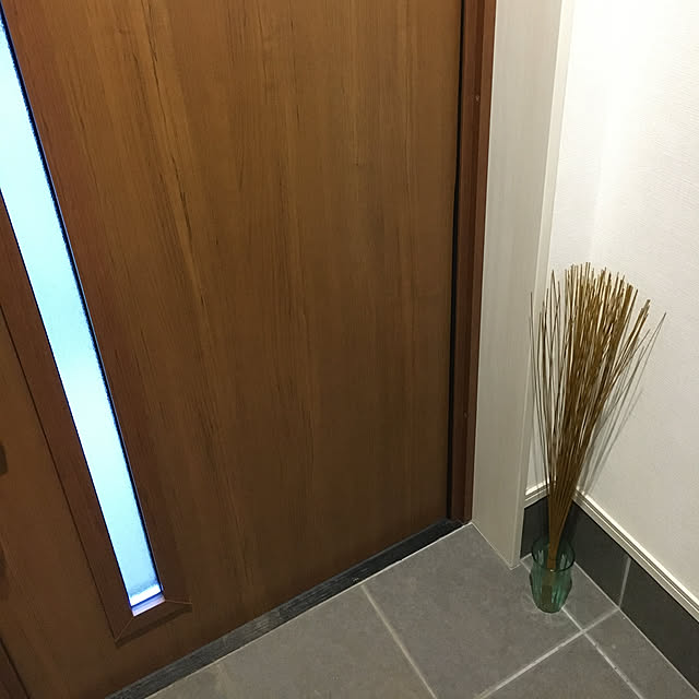 k_dinoさんの実例写真