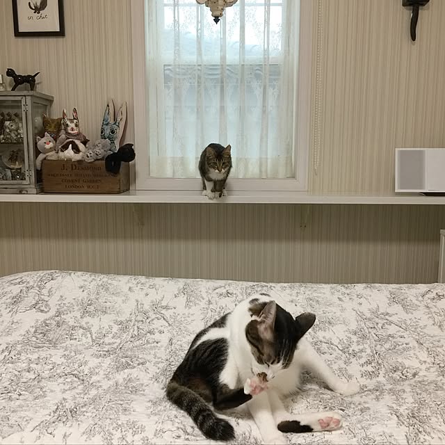 yuchiさんの実例写真