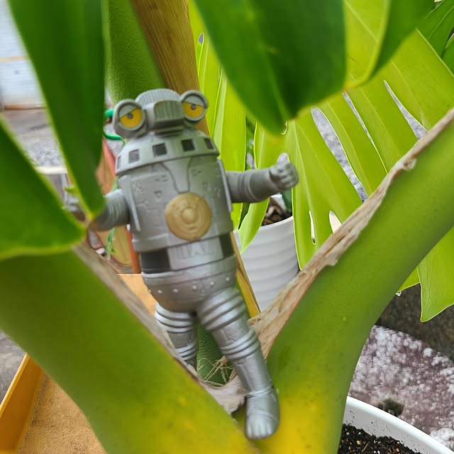 Rubiconさんの部屋