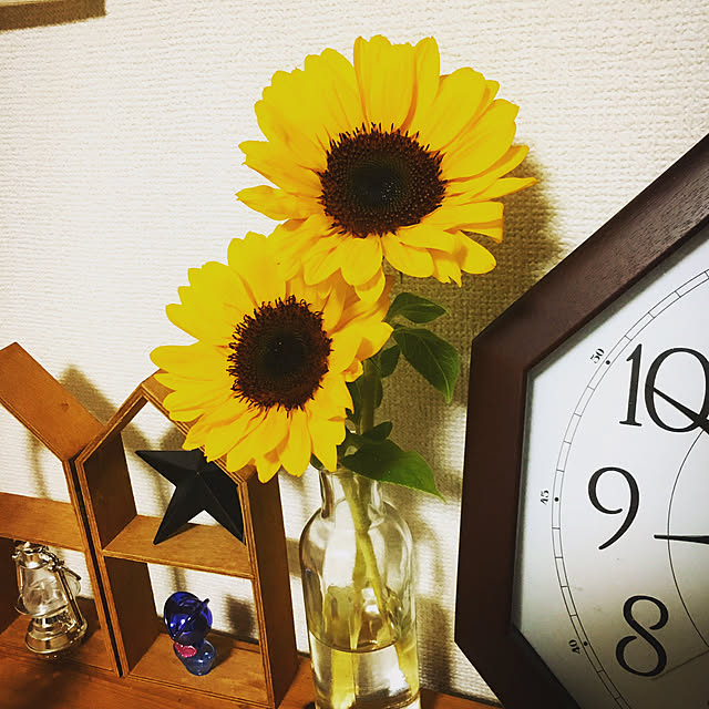 asさんの実例写真