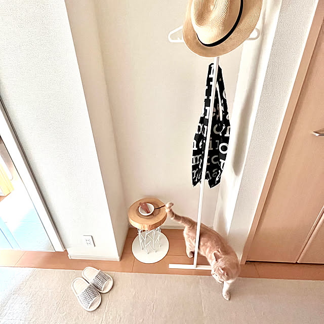 kiyomiさんの部屋
