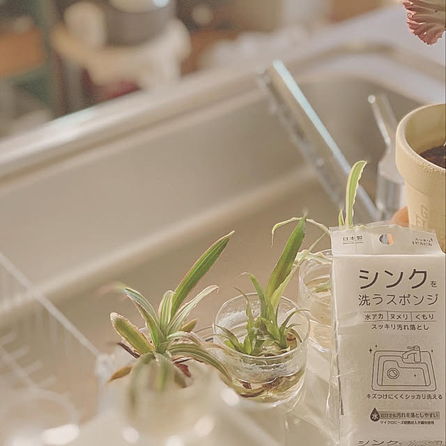 edenさんの実例写真