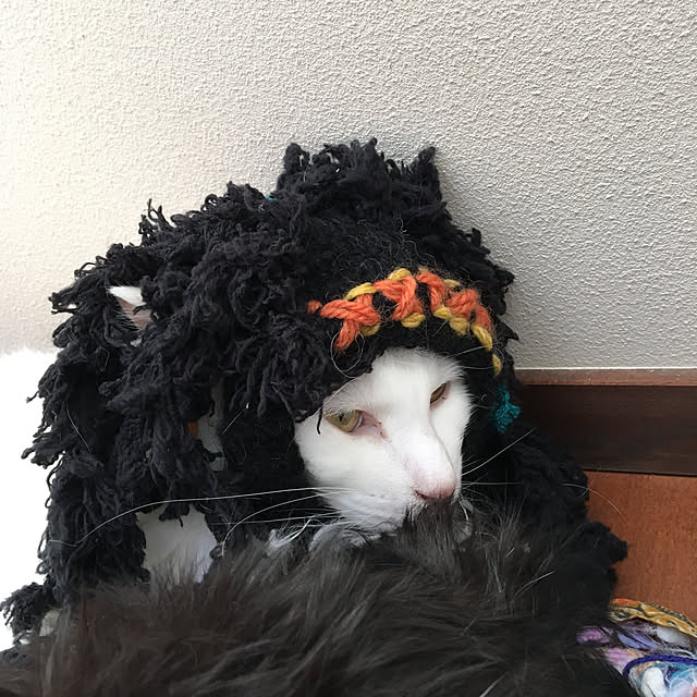 shigimiさんの実例写真