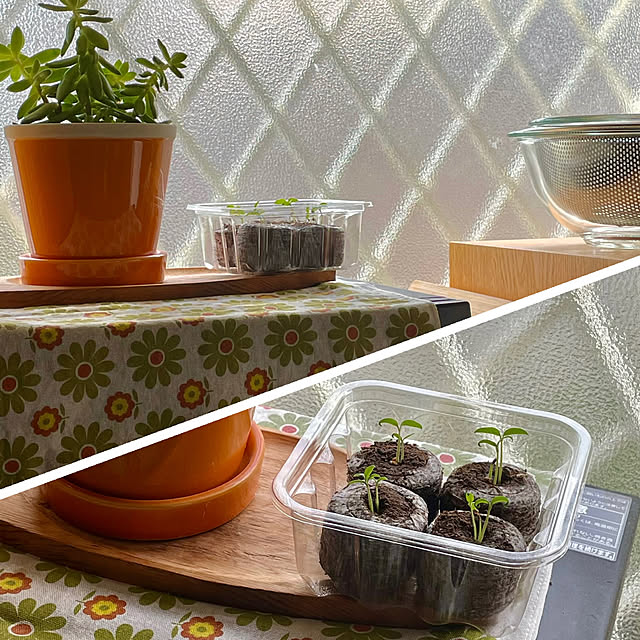 nobikoさんの部屋