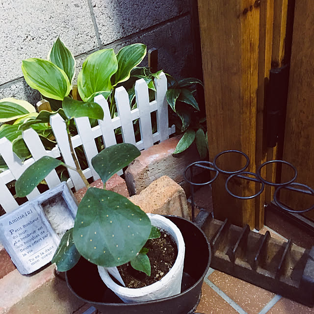 mimichankさんの実例写真