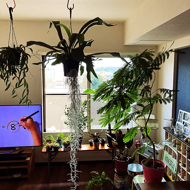 DIY/雑貨/観葉植物/アンティーク/無印良品...などのインテリア実例 - 2020-08-17 17:01:59