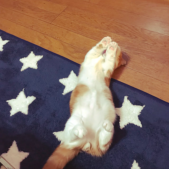 arimanaさんの実例写真