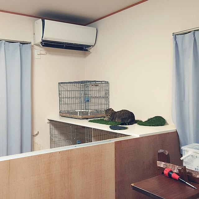 noguriさんの部屋