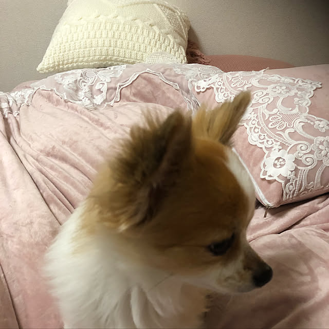 fuwamokoさんの実例写真