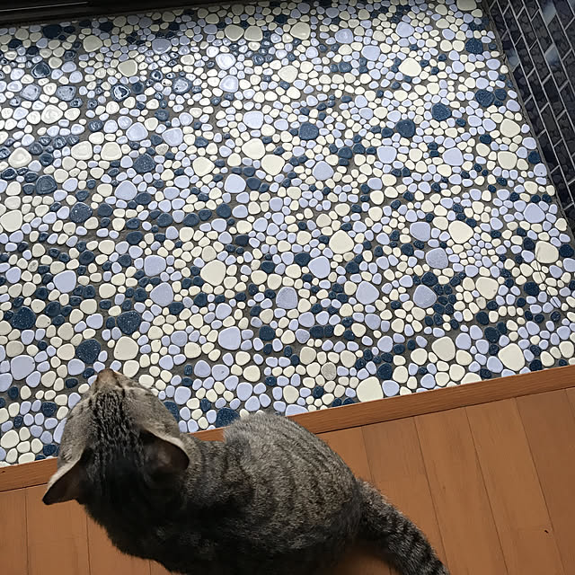 mikan161さんの実例写真