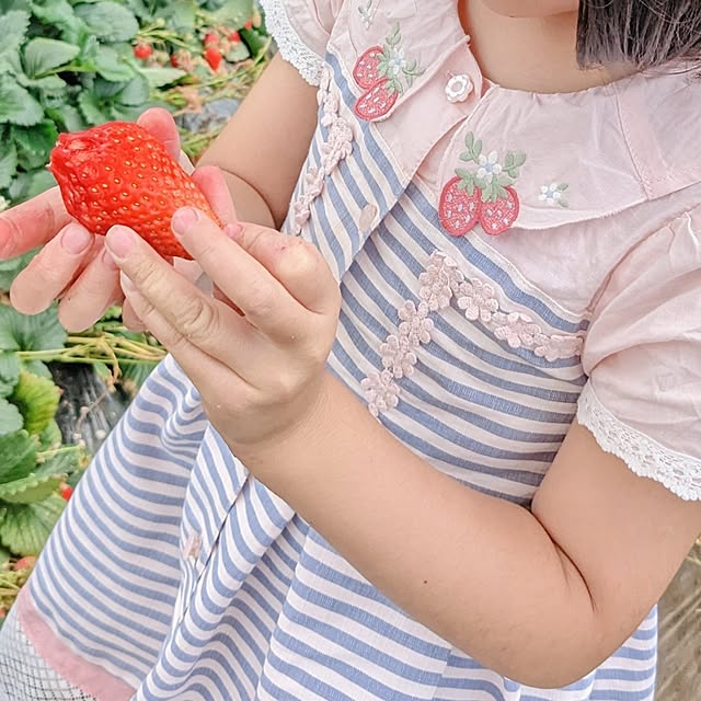 mamenoさんの部屋
