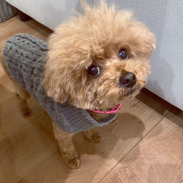 norikoさんの実例写真
