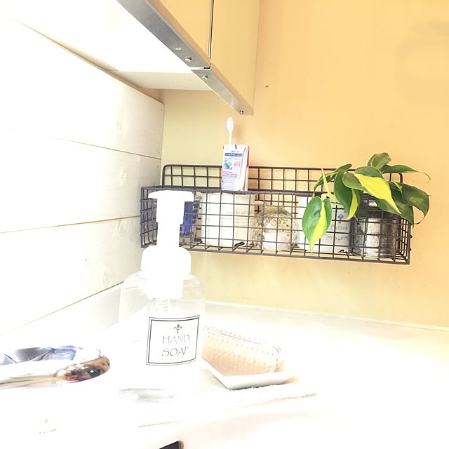 WildRoseさんの実例写真