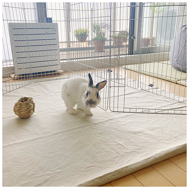 ksfioriさんの部屋
