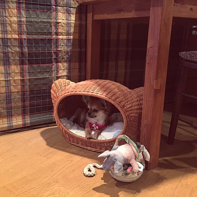 cootan195さんの実例写真
