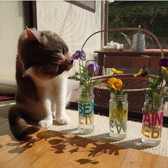 fukuさんの部屋