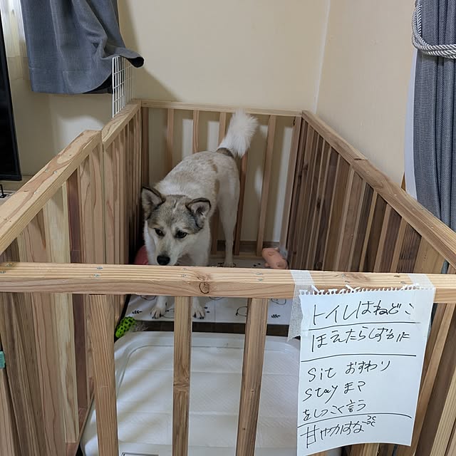 asaさんの実例写真