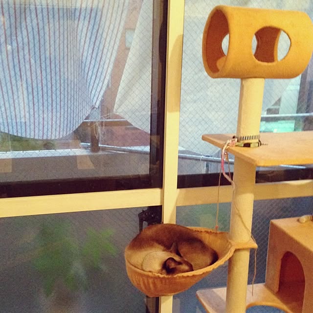 Takachikiさんの実例写真