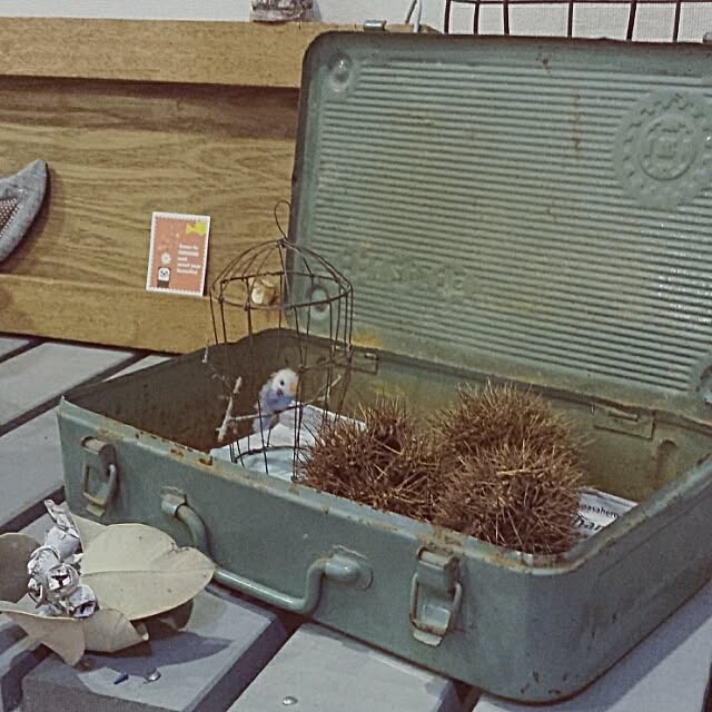 churasanさんの実例写真