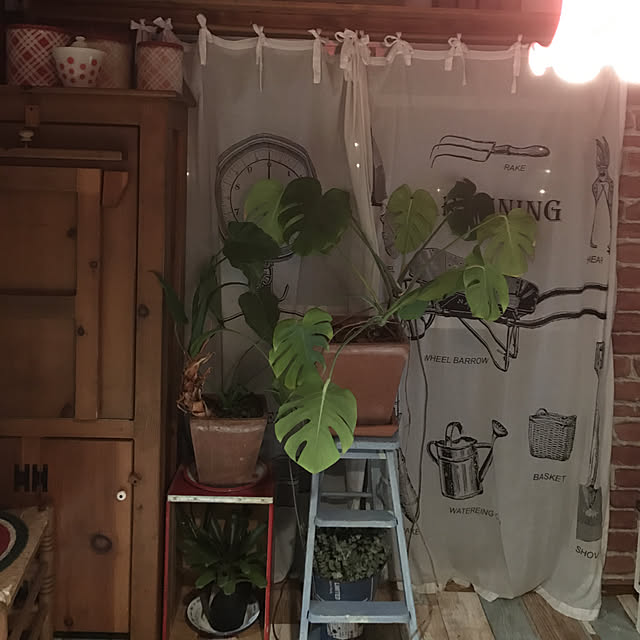 yuni1010_nia0313さんの実例写真