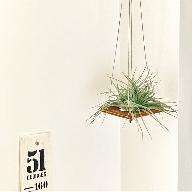 ta_ma_fu_ko_ryuさんの実例写真