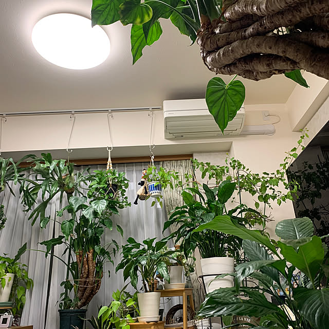 Aqettyさんの部屋