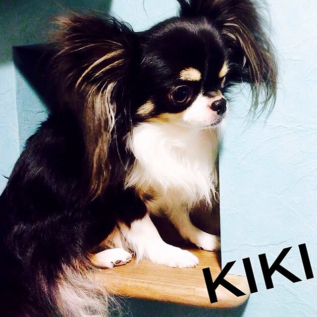marichangさんの実例写真