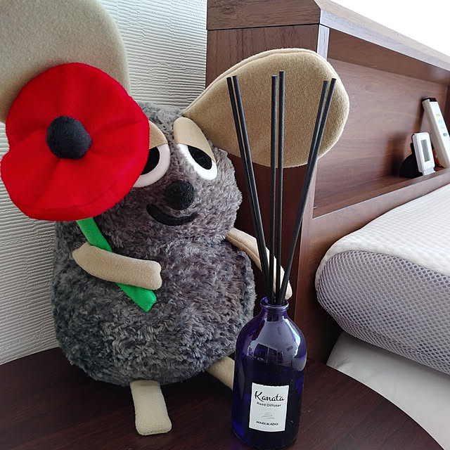 ANTYさんの実例写真