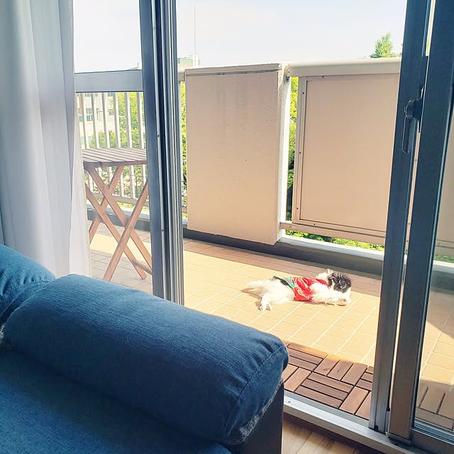 sanoaさんの実例写真